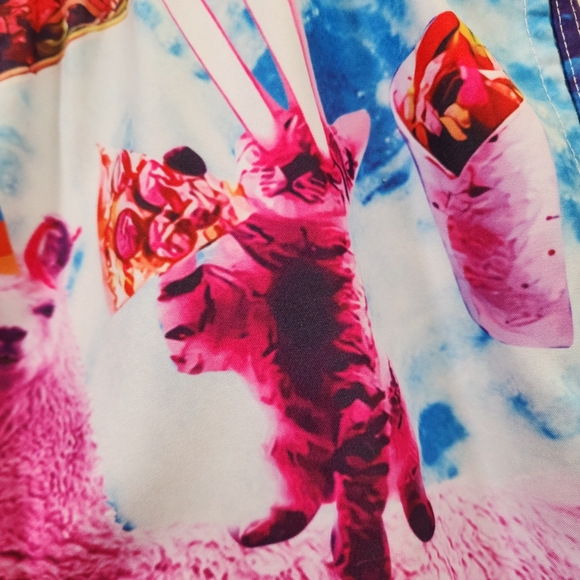 Cat riding a llama taco burrito print fully lined swim shorts men's size small - Picture 2 of 9